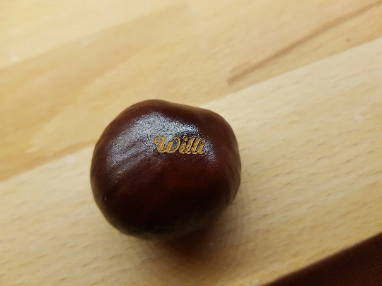 Platzkarte, Namensschild, Tischkarte, Tischdeko, Herbst, Kastanien individuell personalisiert mit Wunschtext, Geburtstag, Hochzeit, Feier