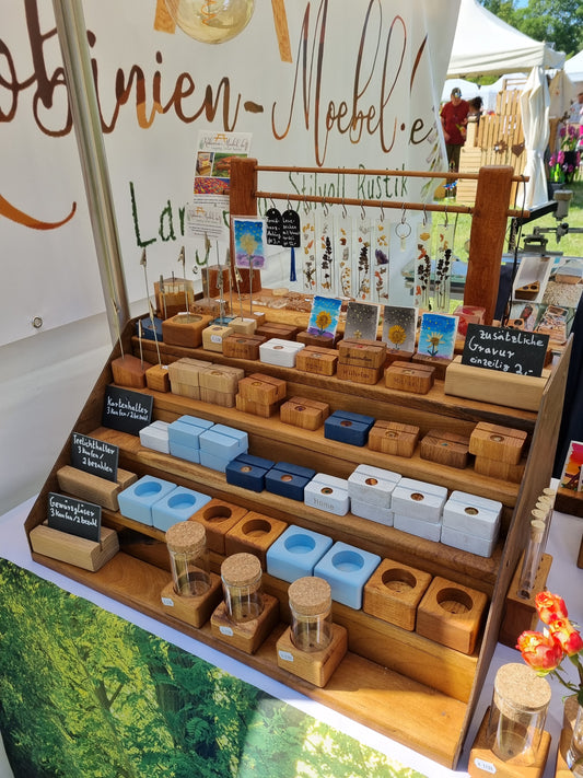 Impressionen unserer Teilnahme beim Magdalenengartenfest Hildesheim (3. / 4.6.2023)