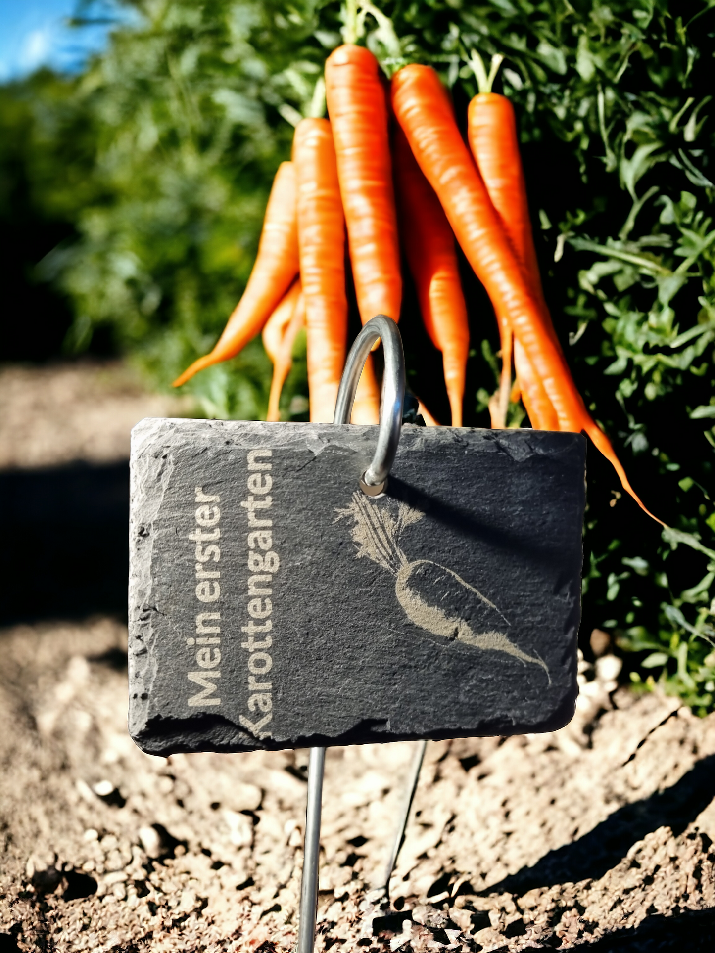 Pflanzenschild, Pflanzenetikett, Nutzpflanzen, Gemüse, Schiefer, Zweizeilige Wunschgravur